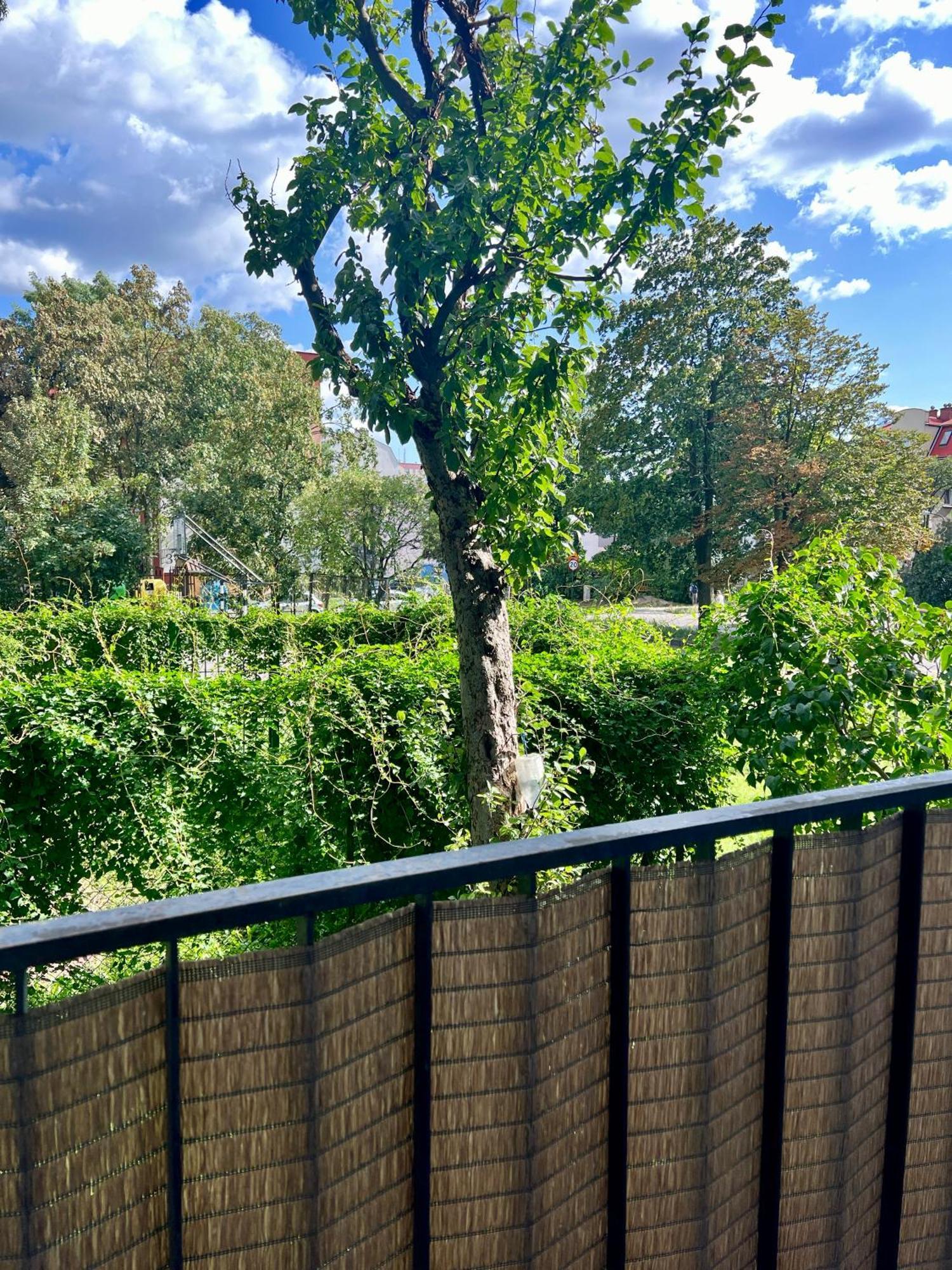 M&S Lux Apartments Kochanowskiego Łódź Esterno foto